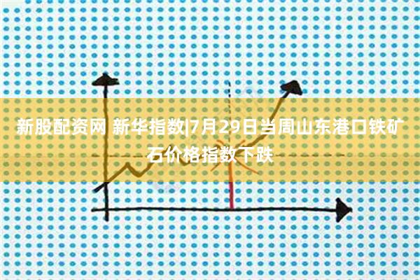 新股配资网 新华指数|7月29日当周山东港口铁矿石价格指数下跌